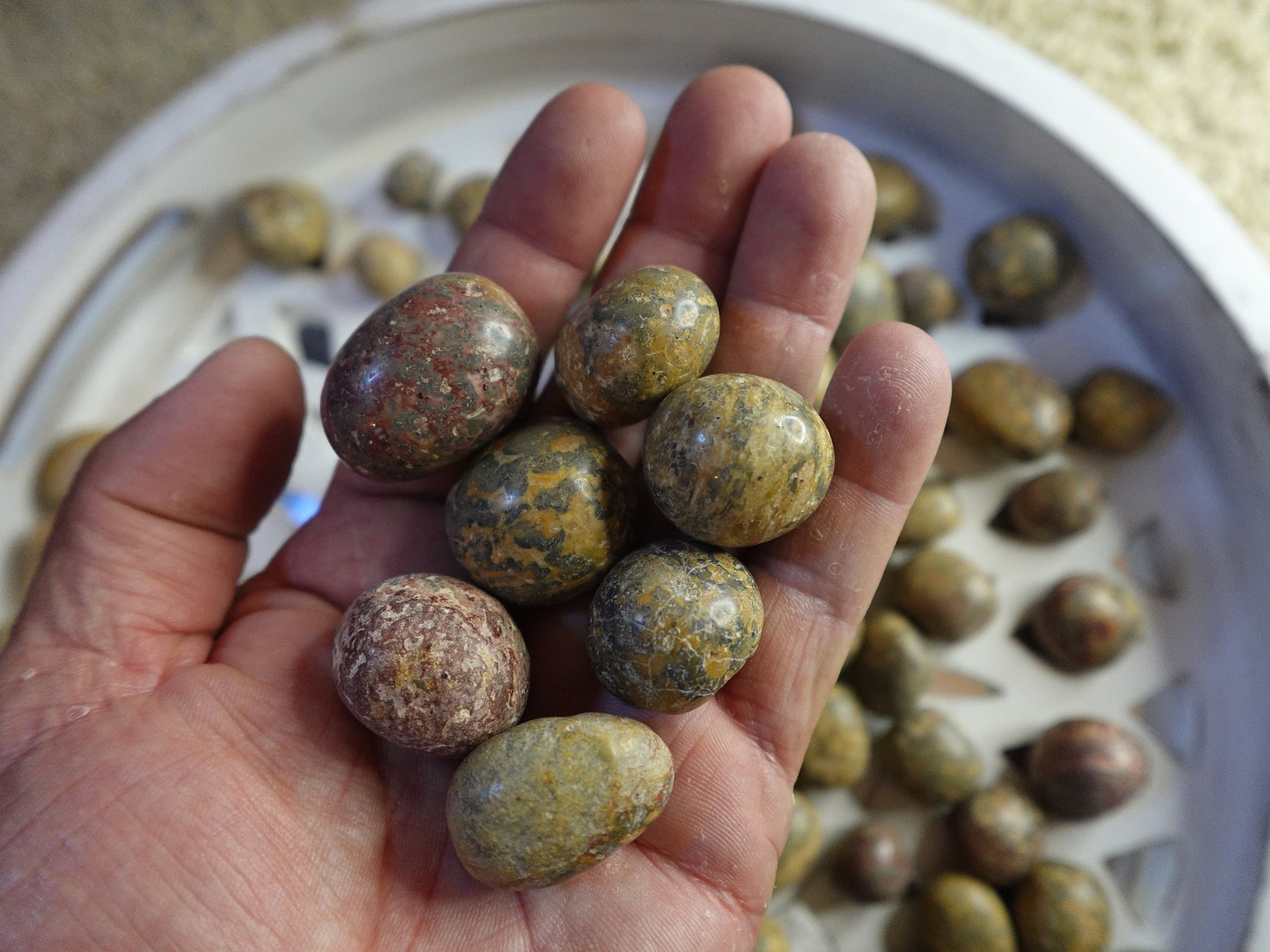 Leopard Jasper Tumble Smooth anxiety polished rock tumbled pocket crystal worry Christmas Xmas Gift Home Decor Crafts