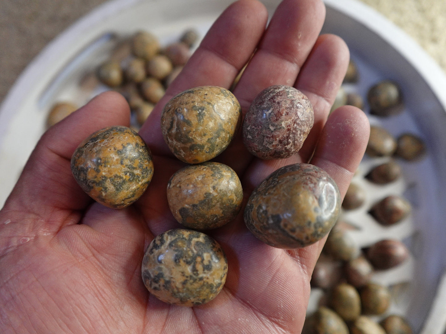 Leopard Jasper Tumble Smooth anxiety polished rock tumbled pocket crystal worry Christmas Xmas Gift Home Decor Crafts