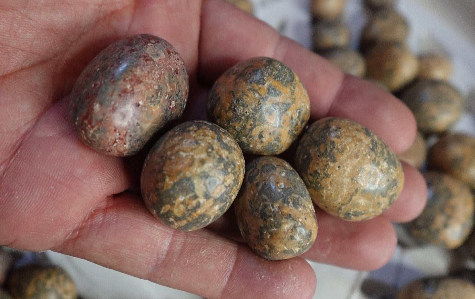 Leopard Jasper Tumble Smooth anxiety polished rock tumbled pocket crystal worry Christmas Xmas Gift Home Decor Crafts