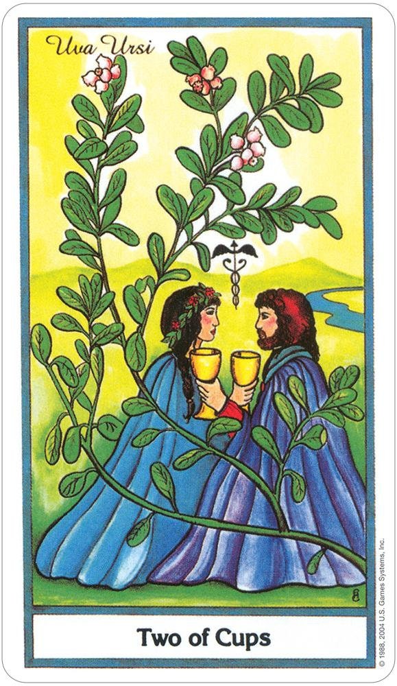 The Herbal Tarot Deck and Paperback Guidebook Fully Licensed and Official Full-Sized Deck Garden Christmas Xmas Birthday Gift 78 card deck