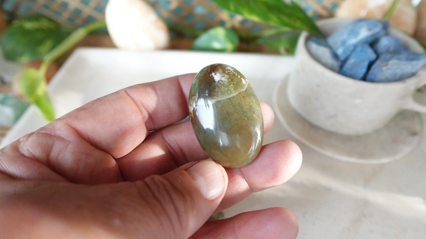Sea Jasper Pocket Anxiety Crystal Medium Polished Palm Stone Meditation Panic Holiday Palm Stones Christmas Home Holiday Decor Gift