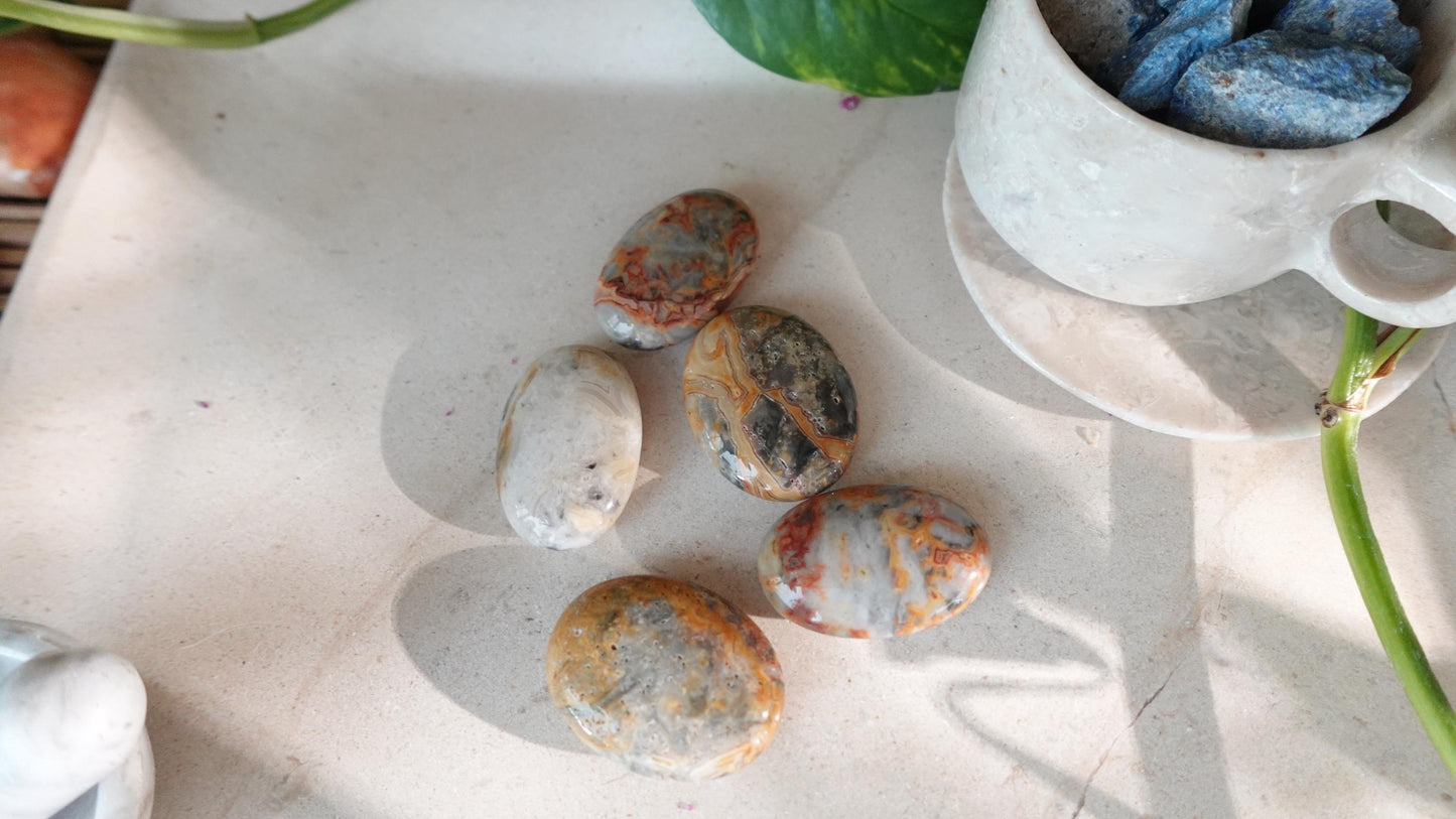 Polished Crazy Agate Palm Natural Crystal Polished Worry Stone Home Decor Anxiety Pocket Distraction Meditation Gift Birthday Christmas