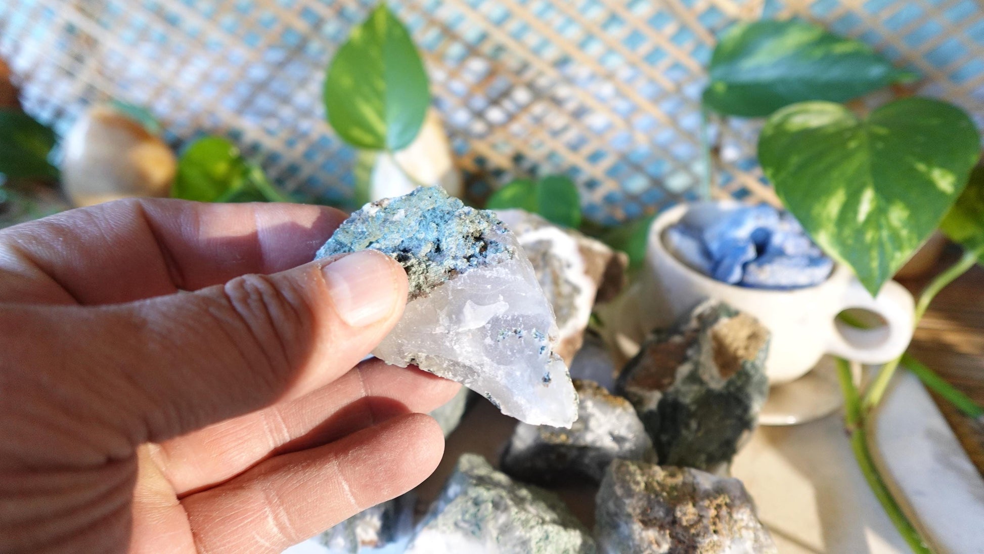 Moss Agate Natural Raw Stone Carved Crystal for Distraction Anxiety Christmas Holiday Decor Xmas Birthday Gift Home Natural Gemstone