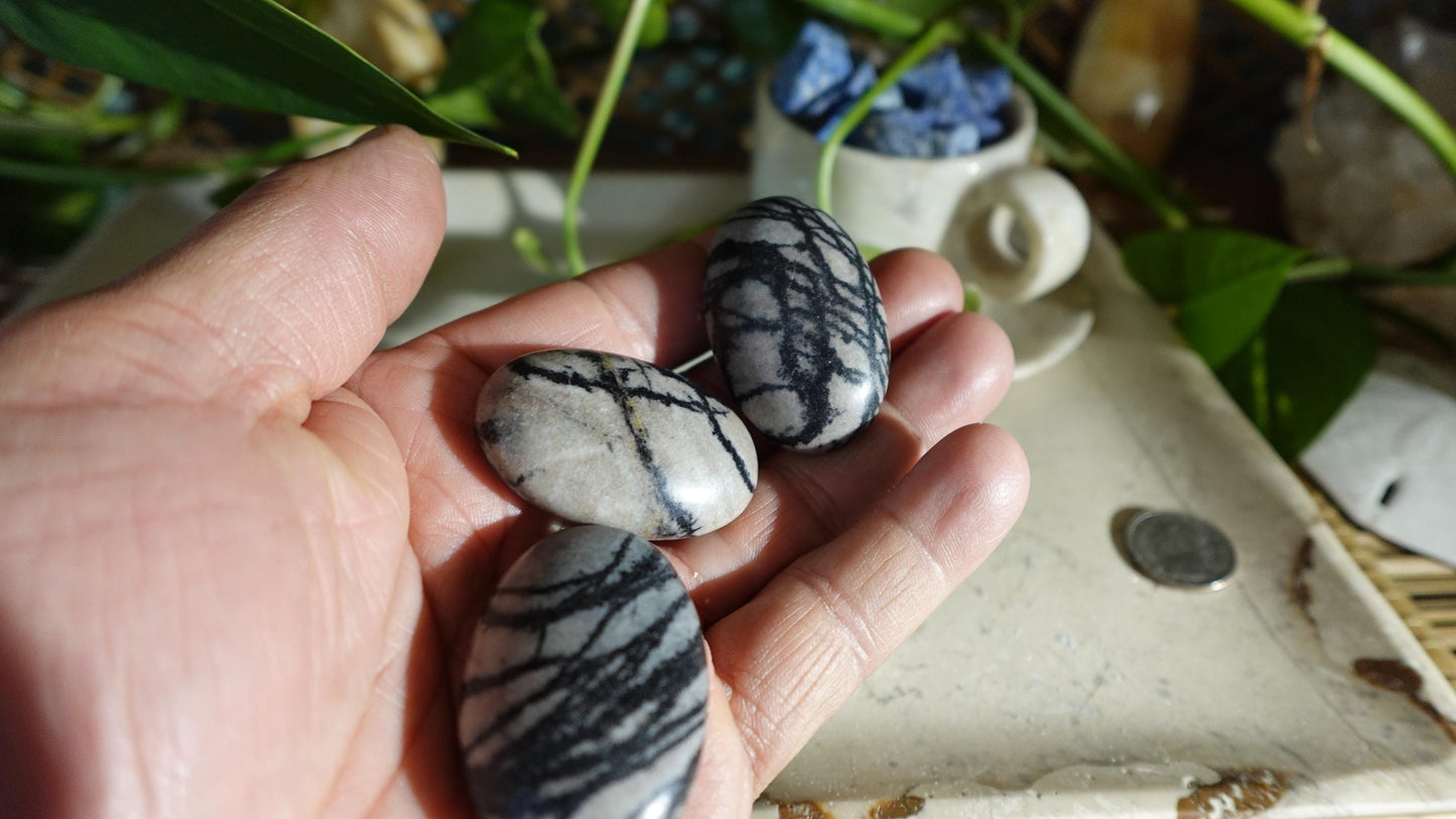 Spiderweb Jasper Medium Natural Palm Stone Smooth Polished Carved Crystal Home Decor Christmas Xmas Gift Anxiety Worry Birthday Pocket Worry