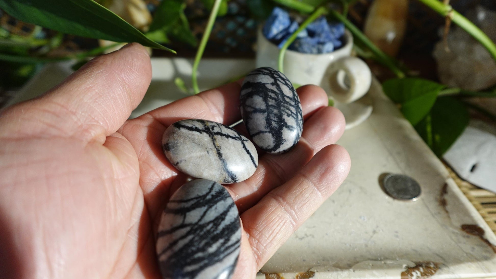 Spiderweb Jasper Medium Natural Palm Stone Smooth Polished Carved Crystal Home Decor Christmas Xmas Gift Anxiety Worry Birthday Pocket Worry
