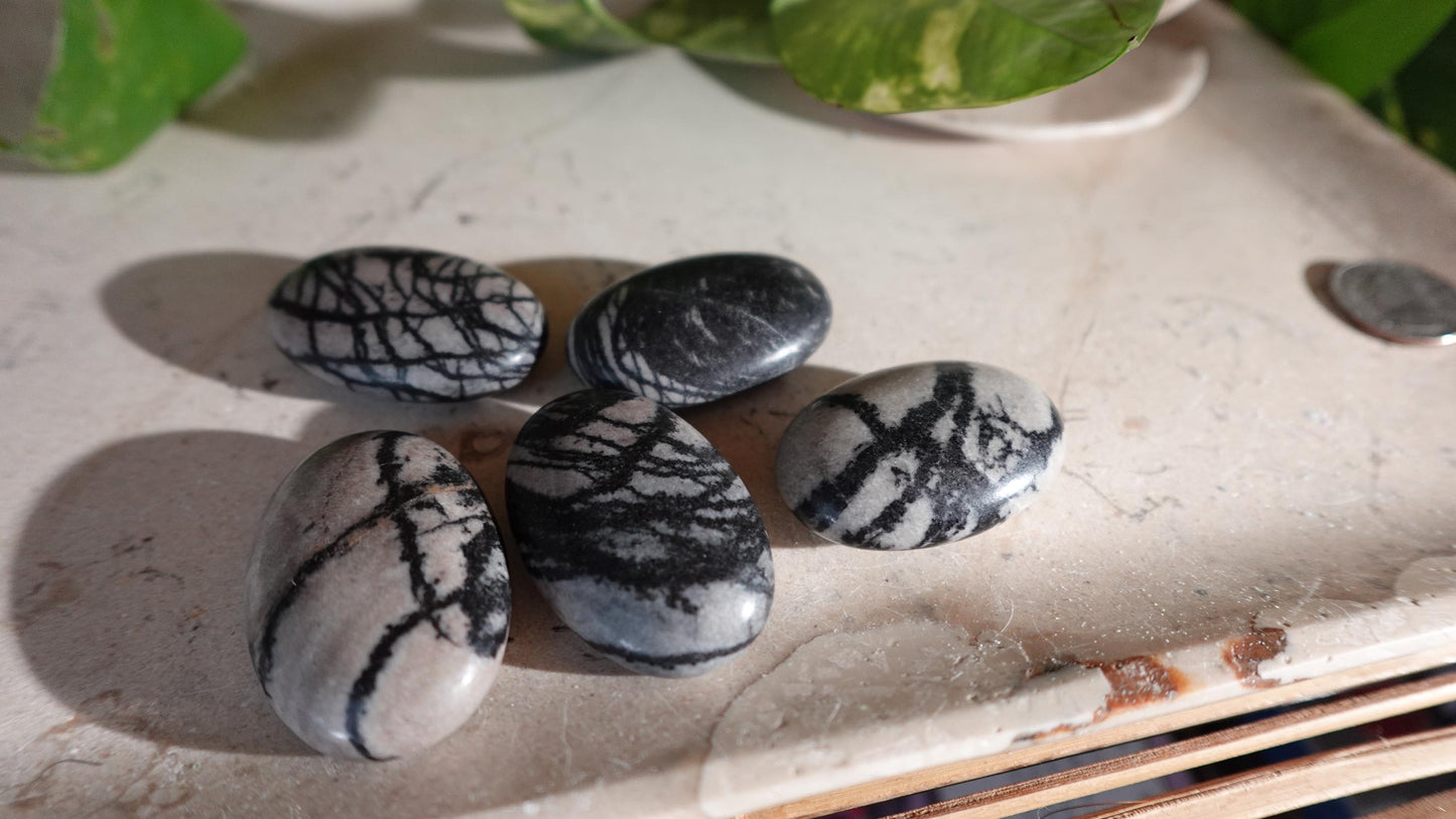 Spiderweb Jasper Medium Natural Palm Stone Smooth Polished Carved Crystal Home Decor Christmas Xmas Gift Anxiety Worry Birthday Pocket Worry
