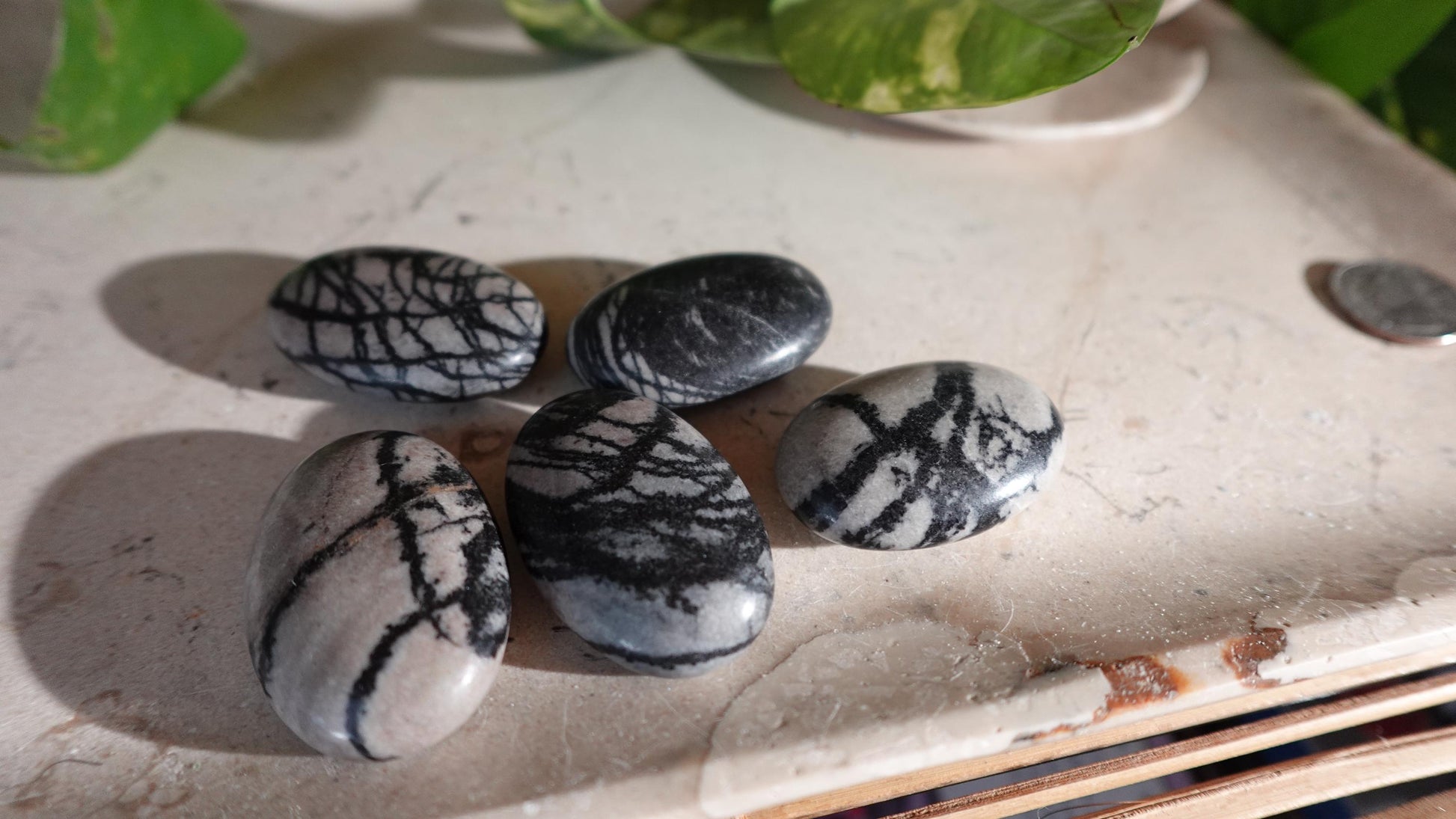 Spiderweb Jasper Medium Natural Palm Stone Smooth Polished Carved Crystal Home Decor Christmas Xmas Gift Anxiety Worry Birthday Pocket Worry