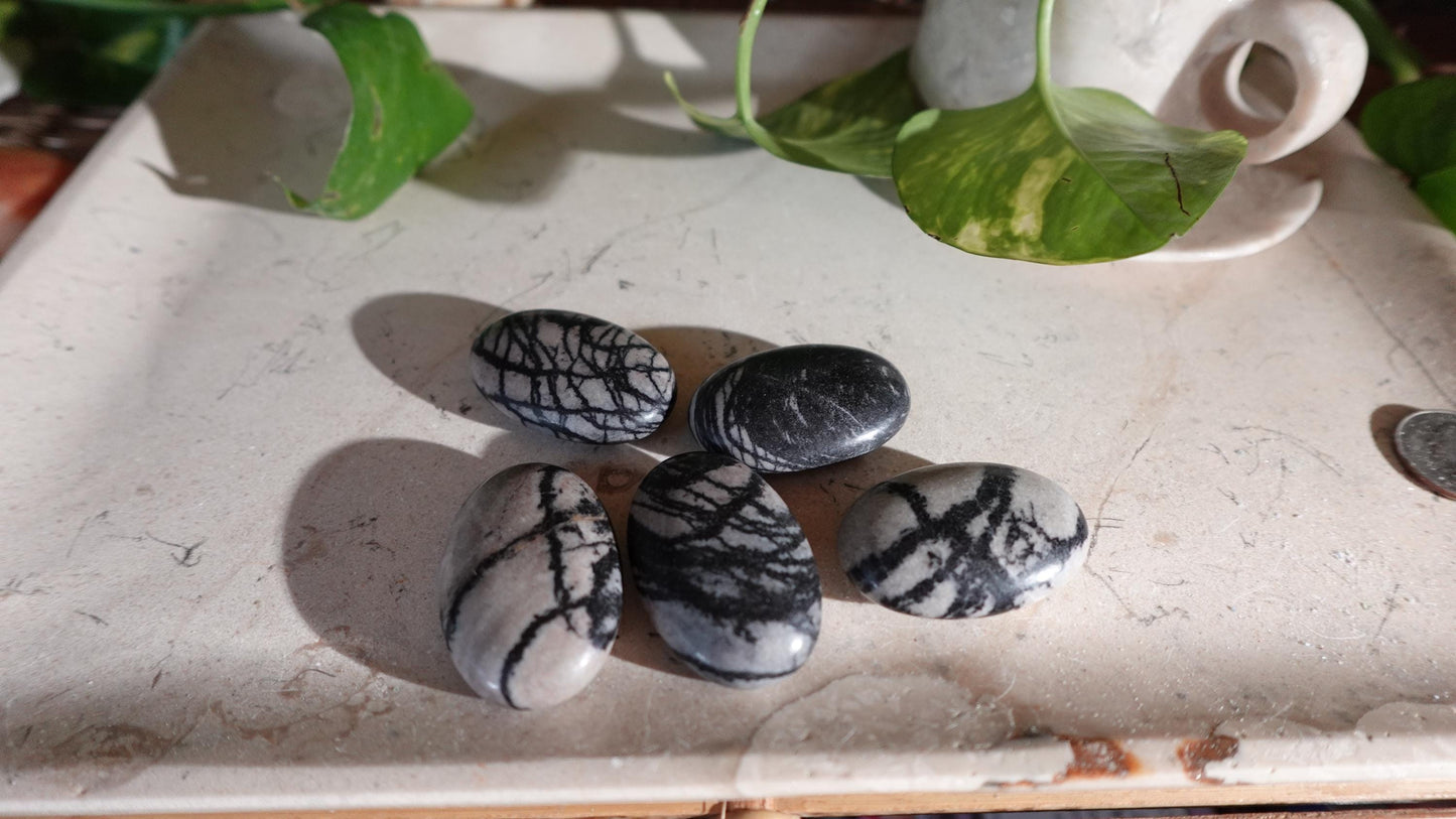 Spiderweb Jasper Medium Natural Palm Stone Smooth Polished Carved Crystal Home Decor Christmas Xmas Gift Anxiety Worry Birthday Pocket Worry