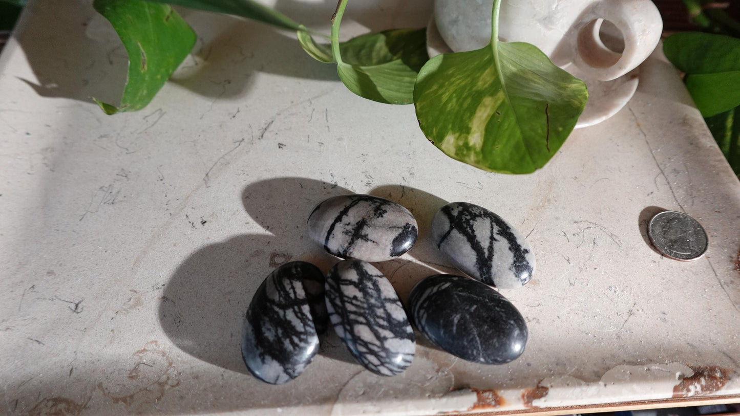 Spiderweb Jasper Medium Natural Palm Stone Smooth Polished Carved Crystal Home Decor Christmas Xmas Gift Anxiety Worry Birthday Pocket Worry