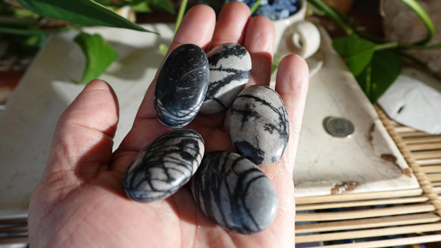 Spiderweb Jasper Medium Natural Palm Stone Smooth Polished Carved Crystal Home Decor Christmas Xmas Gift Anxiety Worry Birthday Pocket Worry
