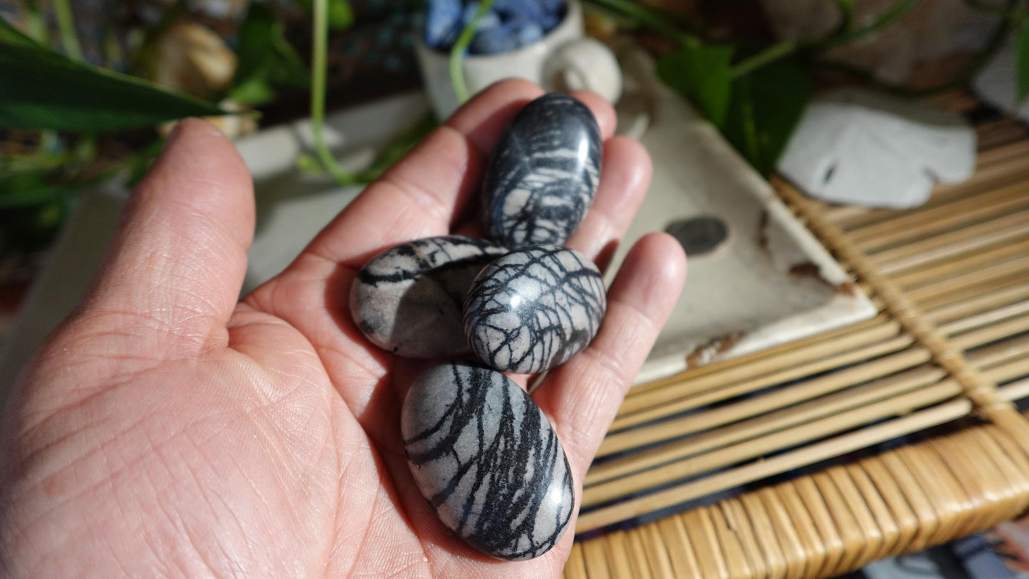 Spiderweb Jasper Medium Natural Palm Stone Smooth Polished Carved Crystal Home Decor Christmas Xmas Gift Anxiety Worry Birthday Pocket Worry