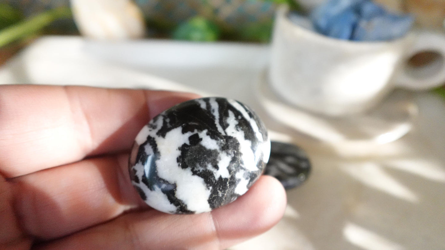 Zebra Rock Natural Medium Palm Stone Smooth Polished Carved Crystal for Distraction Christmas Holiday Decor Birthday Gift Anxiety Worry