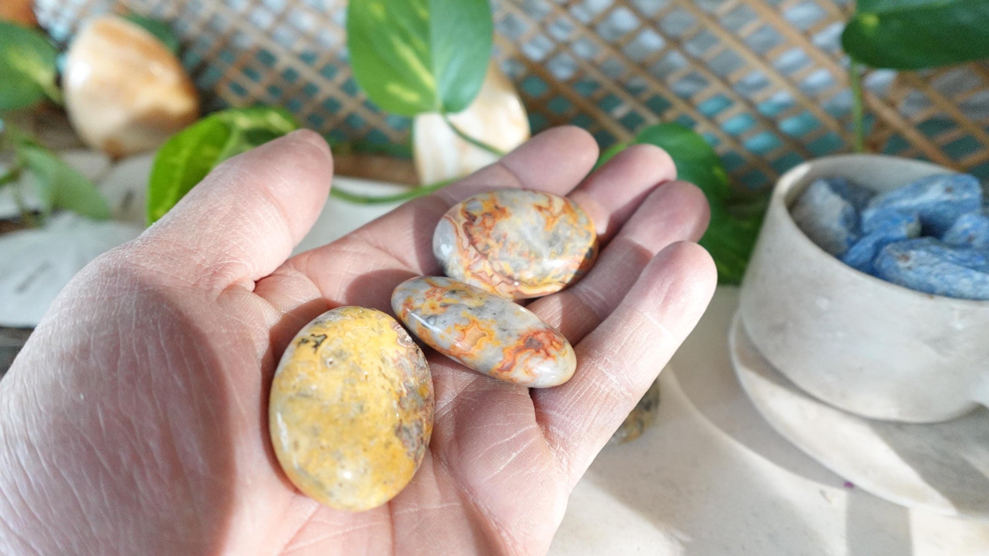 Crazy Agate Palm Stones Untreated Stones Arts Home Decor Wholesale minerals School Project Christmas Xmas Home Decor Gift Crafting