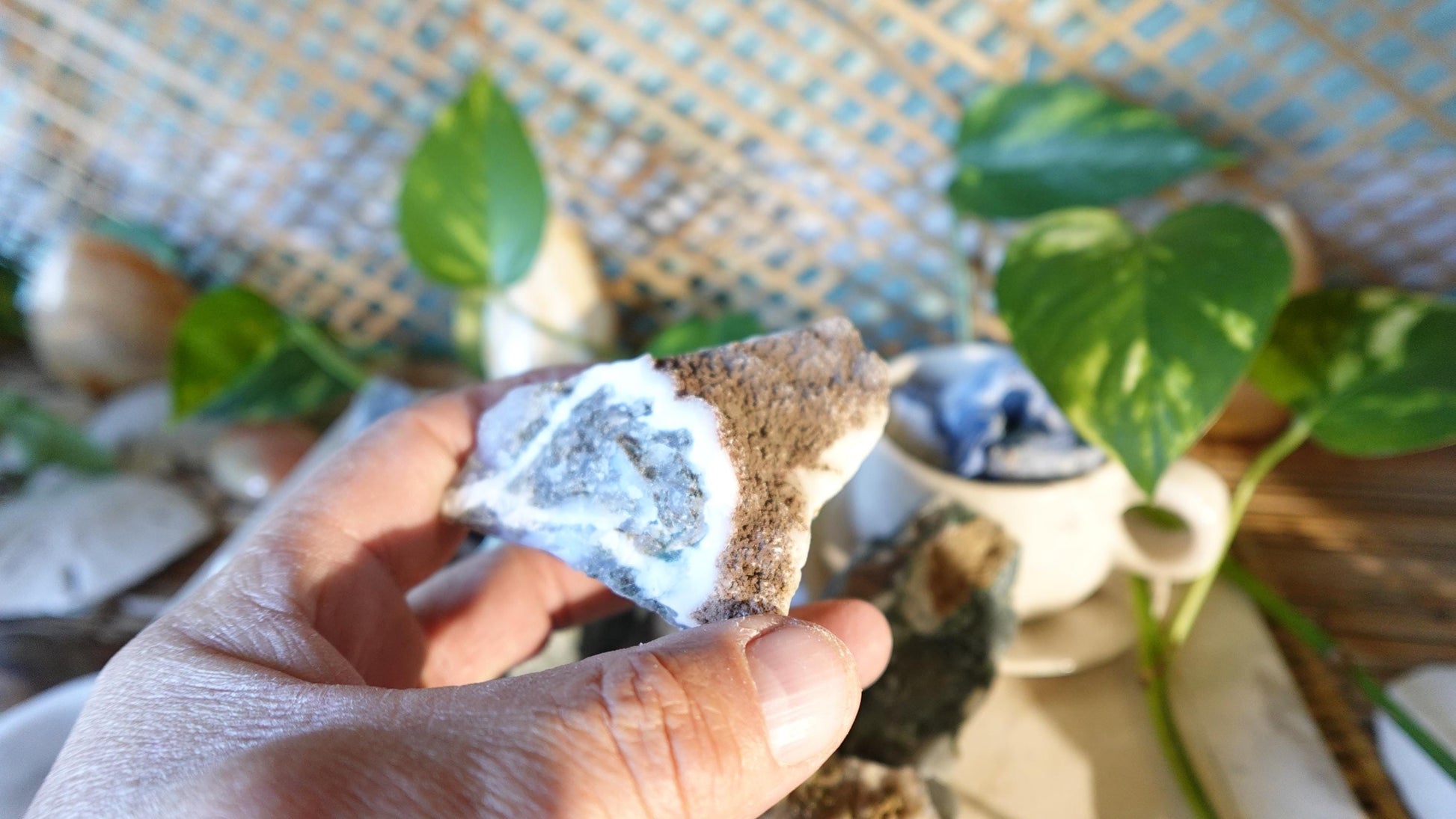 Moss Agate Natural Raw Stone Carved Crystal for Distraction Anxiety Christmas Holiday Decor Xmas Birthday Gift Home Natural Gemstone