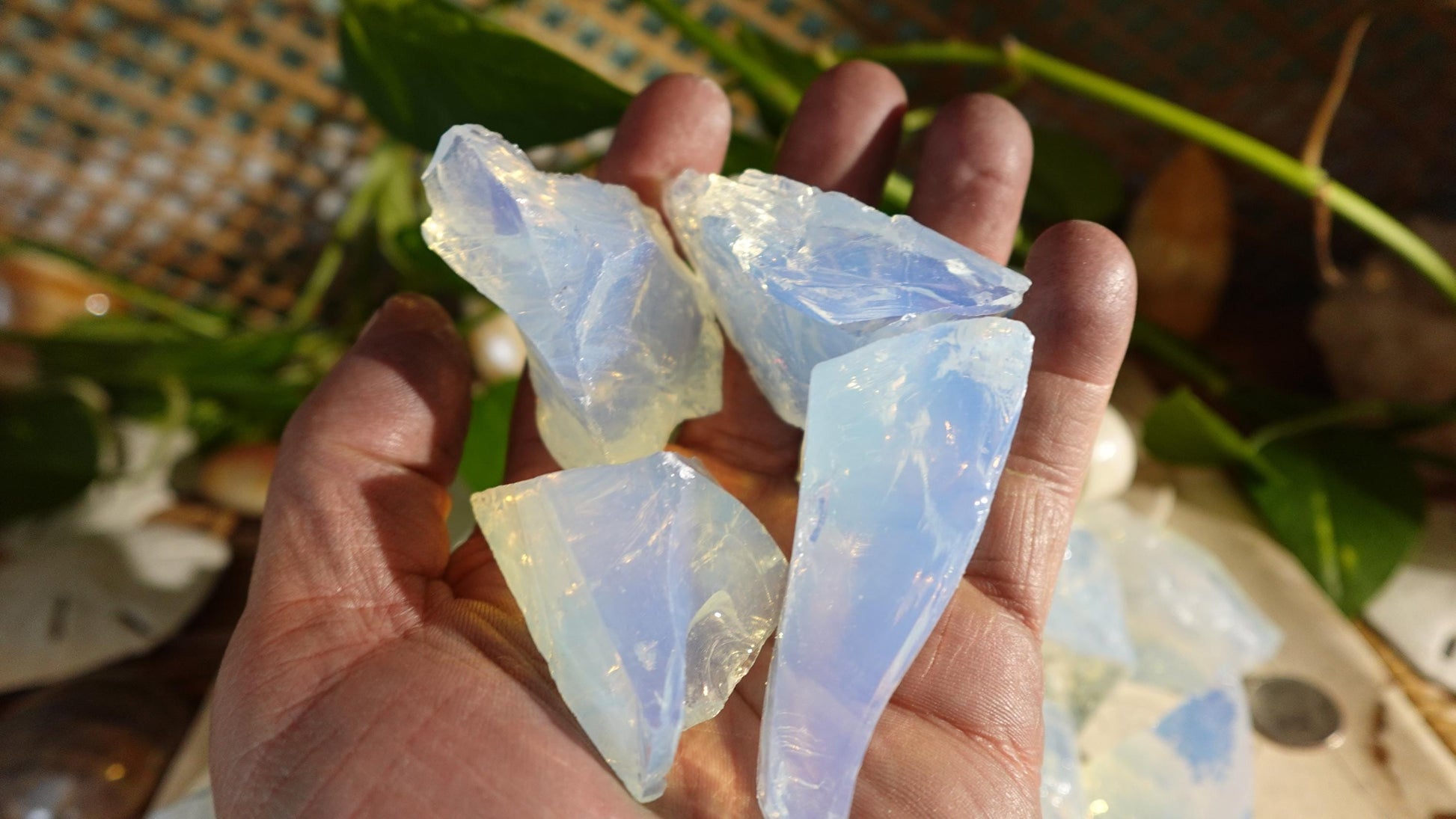 Raw Cut Clear Opalite High Frequency Crystals Untreated Anxiety Home Decor Wholesale minerals School Christmas Xmas Home Decor Craft