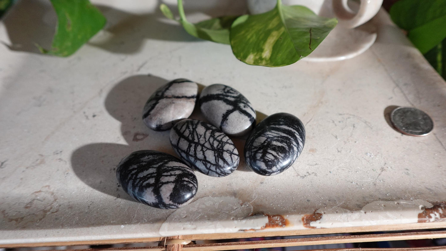 Spiderweb Jasper Medium Natural Palm Stone Smooth Polished Carved Crystal Home Decor Christmas Xmas Gift Anxiety Worry Birthday Pocket Worry