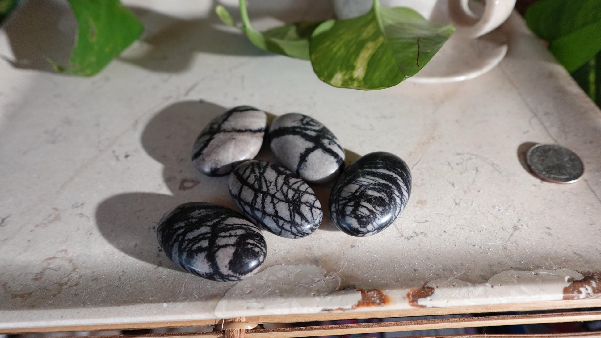 Spiderweb Jasper Medium Natural Palm Stone Smooth Polished Carved Crystal Home Decor Christmas Xmas Gift Anxiety Worry Birthday Pocket Worry
