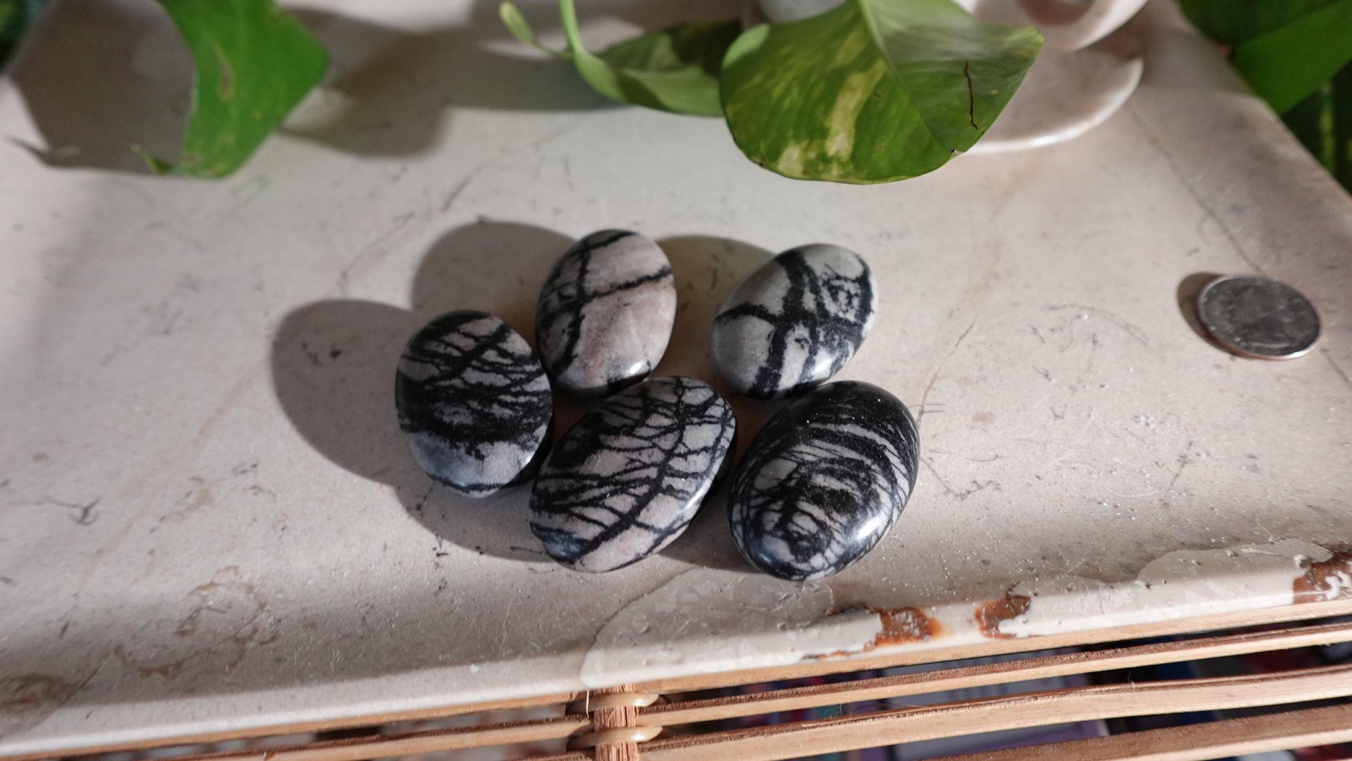 Spiderweb Jasper Medium Natural Palm Stone Smooth Polished Carved Crystal Home Decor Christmas Xmas Gift Anxiety Worry Birthday Pocket Worry