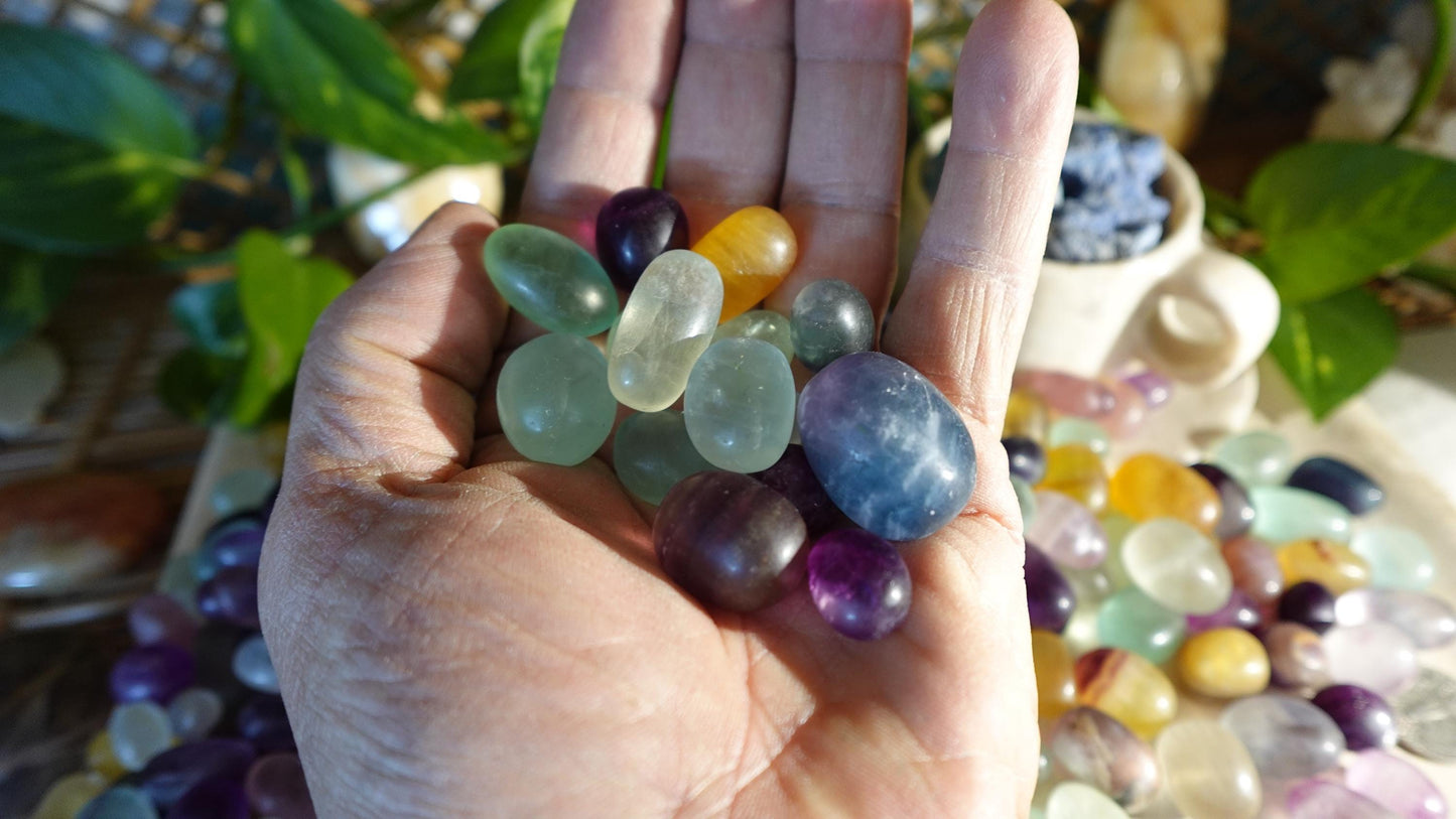 Rainbow and Candy Fluorite Natural Tumble Stones Smooth Polished Carved Crystal for Distraction Anxiety or Worry Home Decor Holiday Xmas