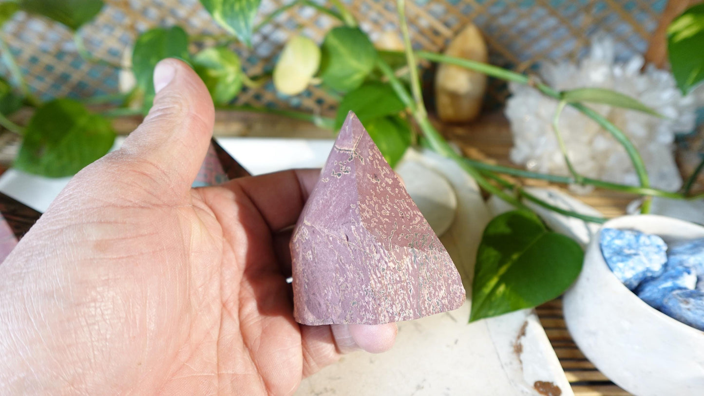 Rare Cherry Creek Jasper Carved Anxiety Crystal Polished Raw Stone Meditation for Home Decor Holiday Collection Christmas Xmas Gift