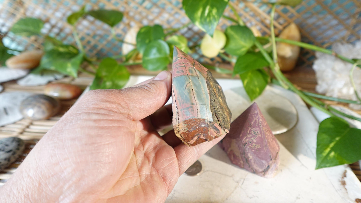 Rare Cherry Creek Jasper Carved Anxiety Crystal Polished Raw Stone Meditation for Home Decor Holiday Collection Christmas Xmas Gift