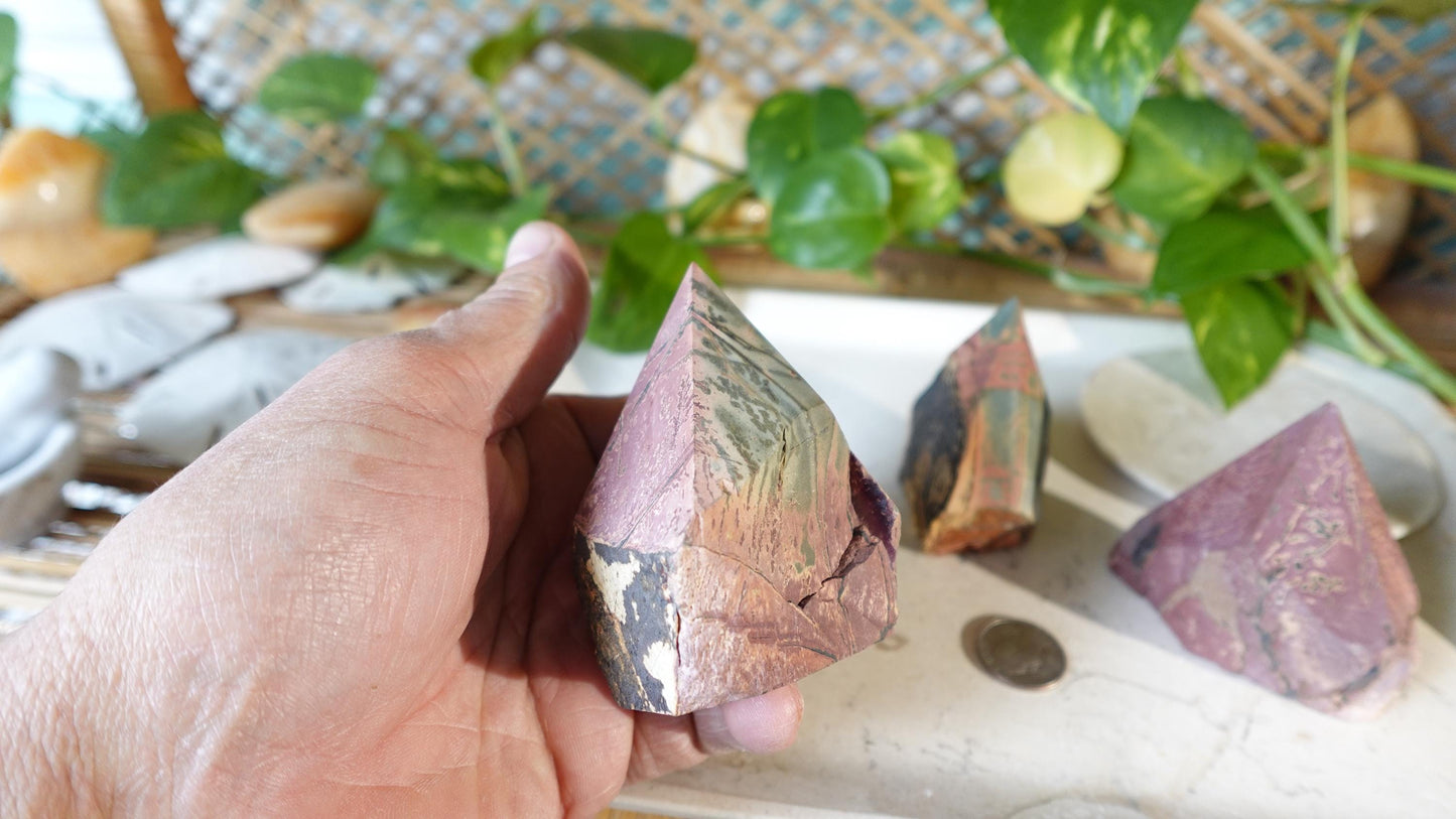 Rare Cherry Creek Jasper Carved Anxiety Crystal Polished Raw Stone Meditation for Home Decor Holiday Collection Christmas Xmas Gift