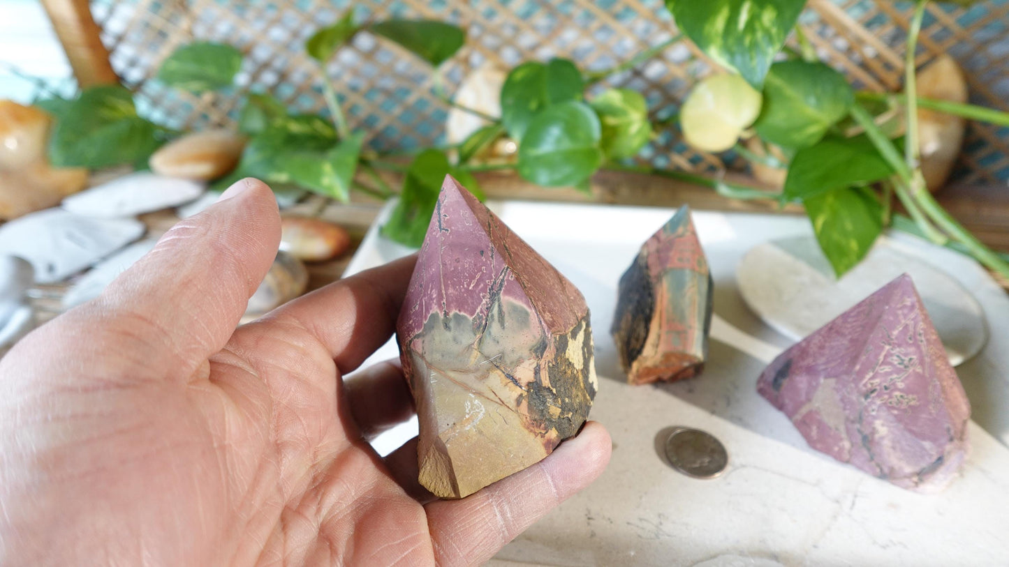 Rare Cherry Creek Jasper Carved Anxiety Crystal Polished Raw Stone Meditation for Home Decor Holiday Collection Christmas Xmas Gift
