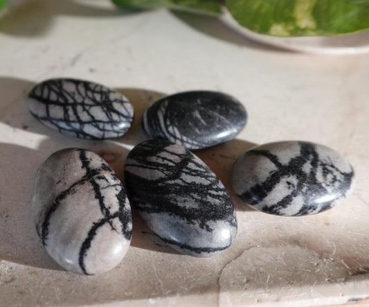 Spiderweb Jasper Medium Natural Palm Stone Smooth Polished Carved Crystal Home Decor Christmas Xmas Gift Anxiety Worry Birthday Pocket Worry
