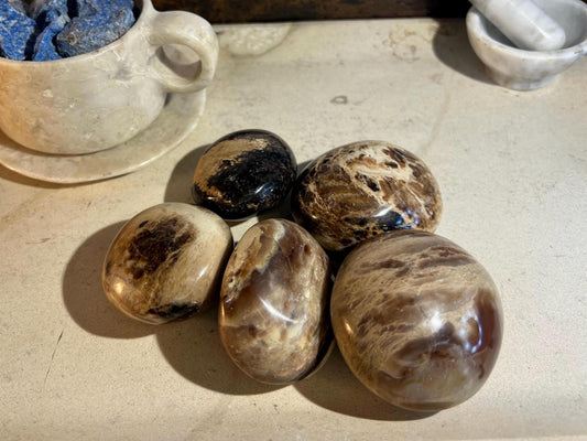 Fossil Wood Natural Palm Stone Smooth Polished Carved Crystal for Distraction from Anxiety or Worry Home Decor Holiday Xmas