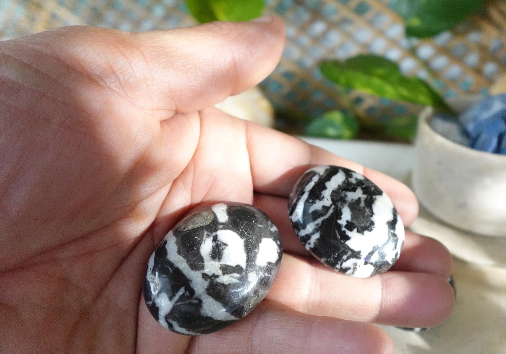Zebra Rock Natural Medium Palm Stone Smooth Polished Carved Crystal for Distraction Christmas Holiday Decor Birthday Gift Anxiety Worry