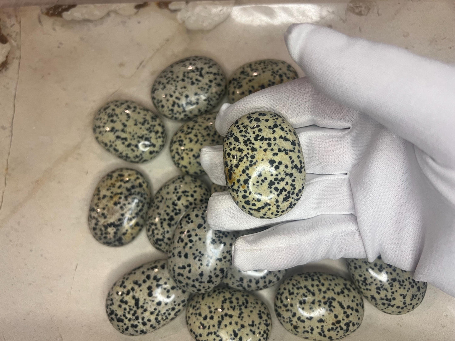 Indian Dalmation Jasper Palm Stone Smooth Panic Thumb Stone Natural Crystal Thumb stone Christmas Birthday Gift Xmas Anxiety