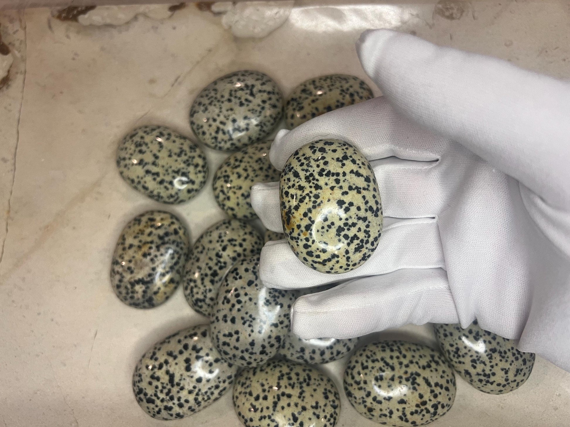 Indian Dalmation Jasper Palm Stone Smooth Panic Thumb Stone Natural Crystal Thumb stone Christmas Birthday Gift Xmas Anxiety