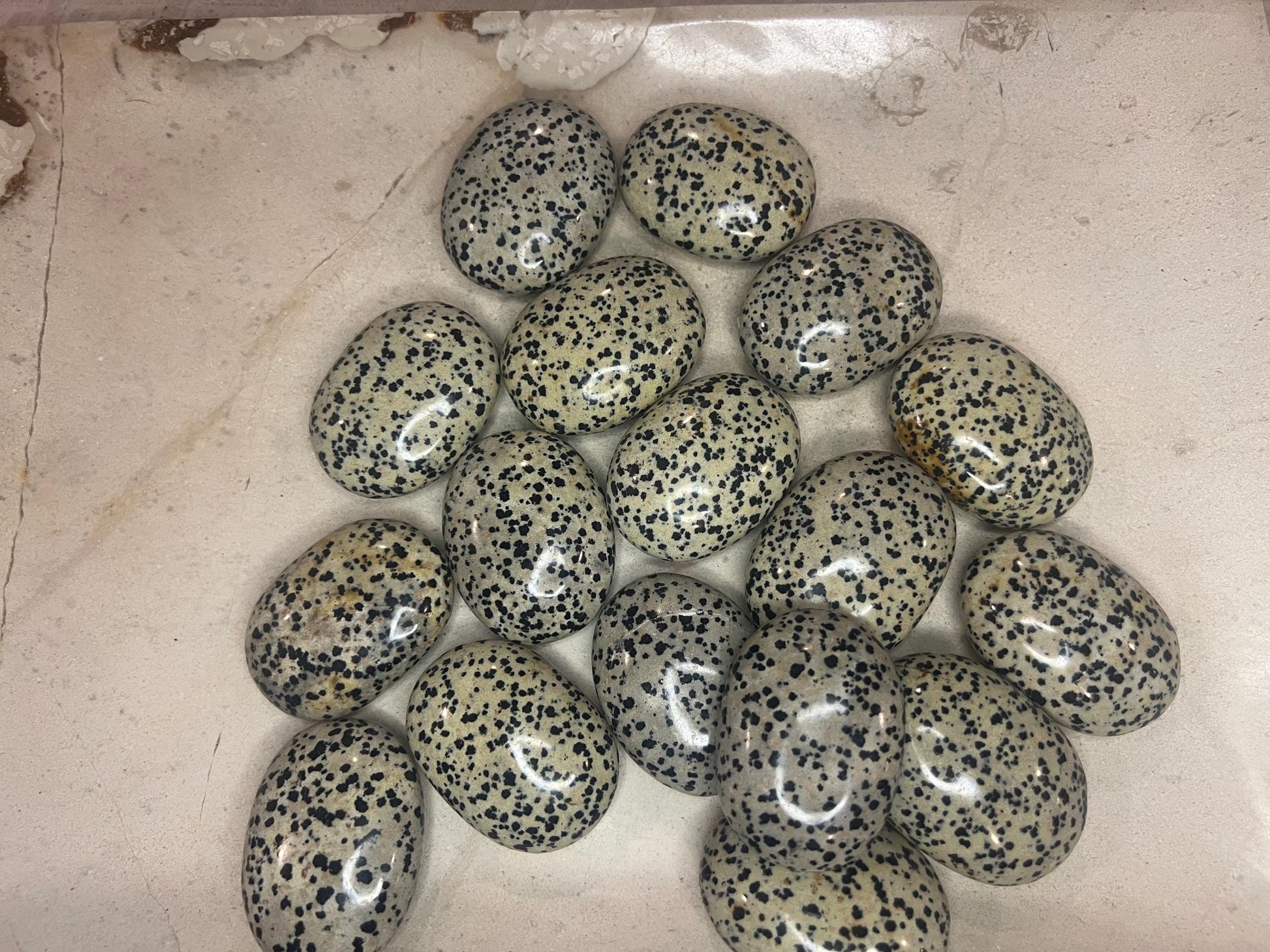 Indian Dalmation Jasper Palm Stone Smooth Panic Thumb Stone Natural Crystal Thumb stone Christmas Birthday Gift Xmas Anxiety
