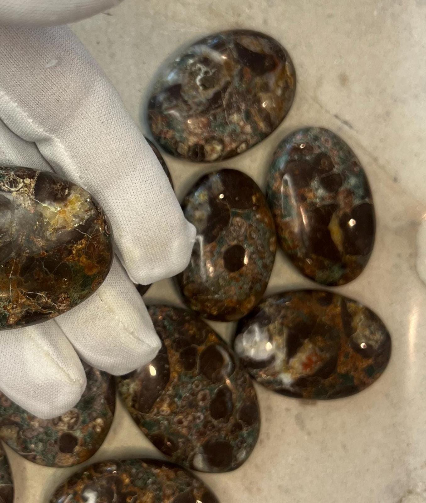 Wisconsin Turritella Fossil Palm Stones Natural Free Form Stone Smooth Polished Carved Crystal for Distraction Worry Anxiety Home Decor