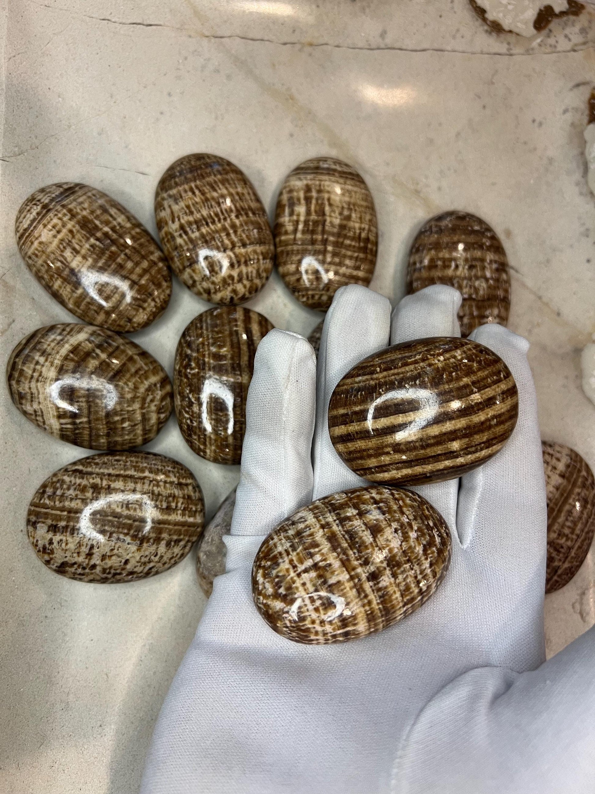 Indian Brown Arragonite Palm Stone Smooth Polished Crystal for Distraction Christmas Xmas Gift Home Meditation Birthday Anxiety Worry