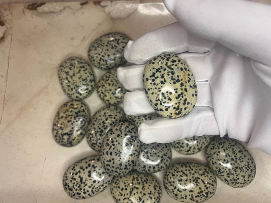 Indian Dalmation Jasper Palm Stone Smooth Panic Thumb Stone Natural Crystal Thumb stone Christmas Birthday Gift Xmas Anxiety