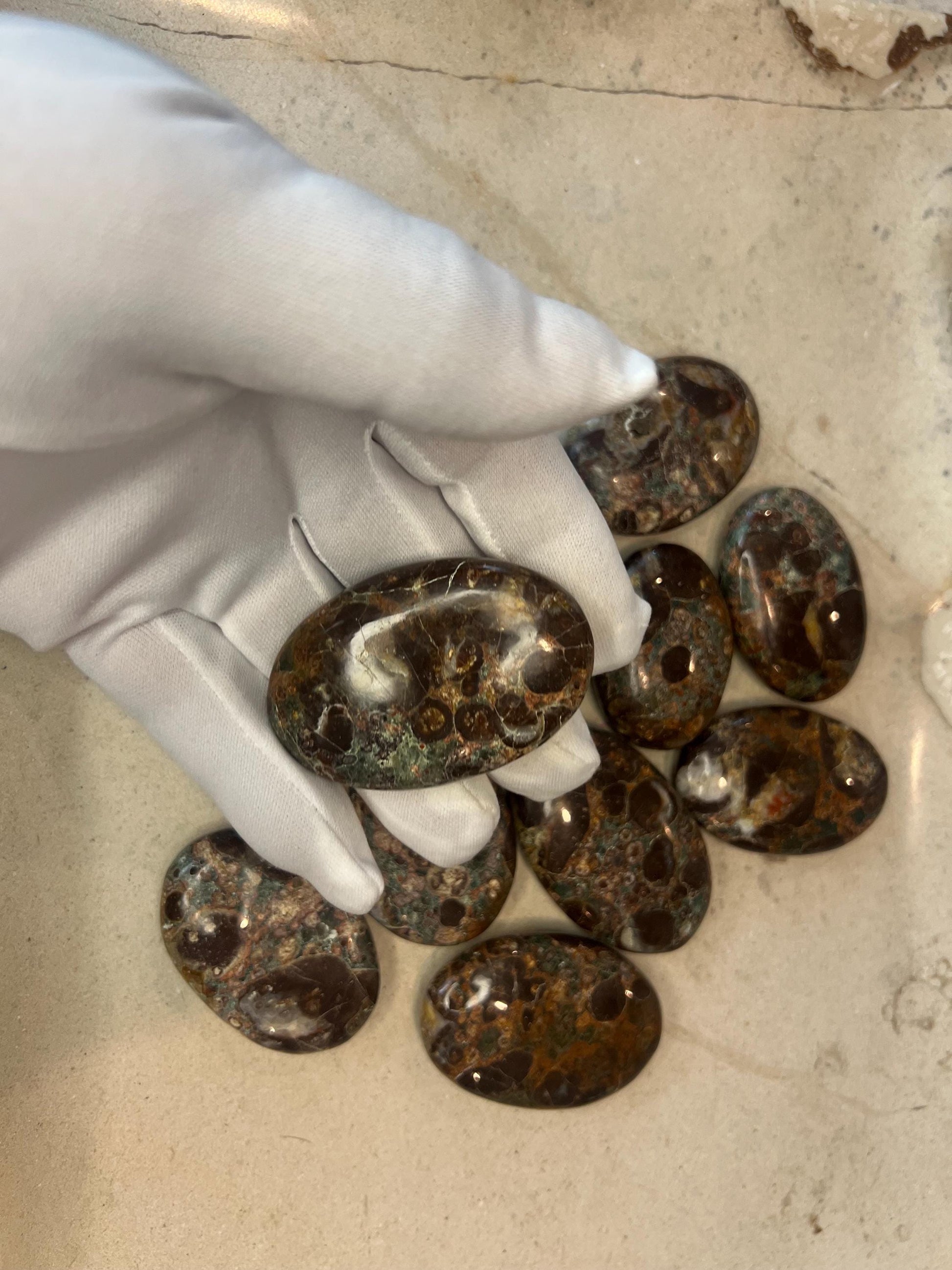 Wisconsin Turritella Fossil Palm Stones Natural Free Form Stone Smooth Polished Carved Crystal for Distraction Worry Anxiety Home Decor