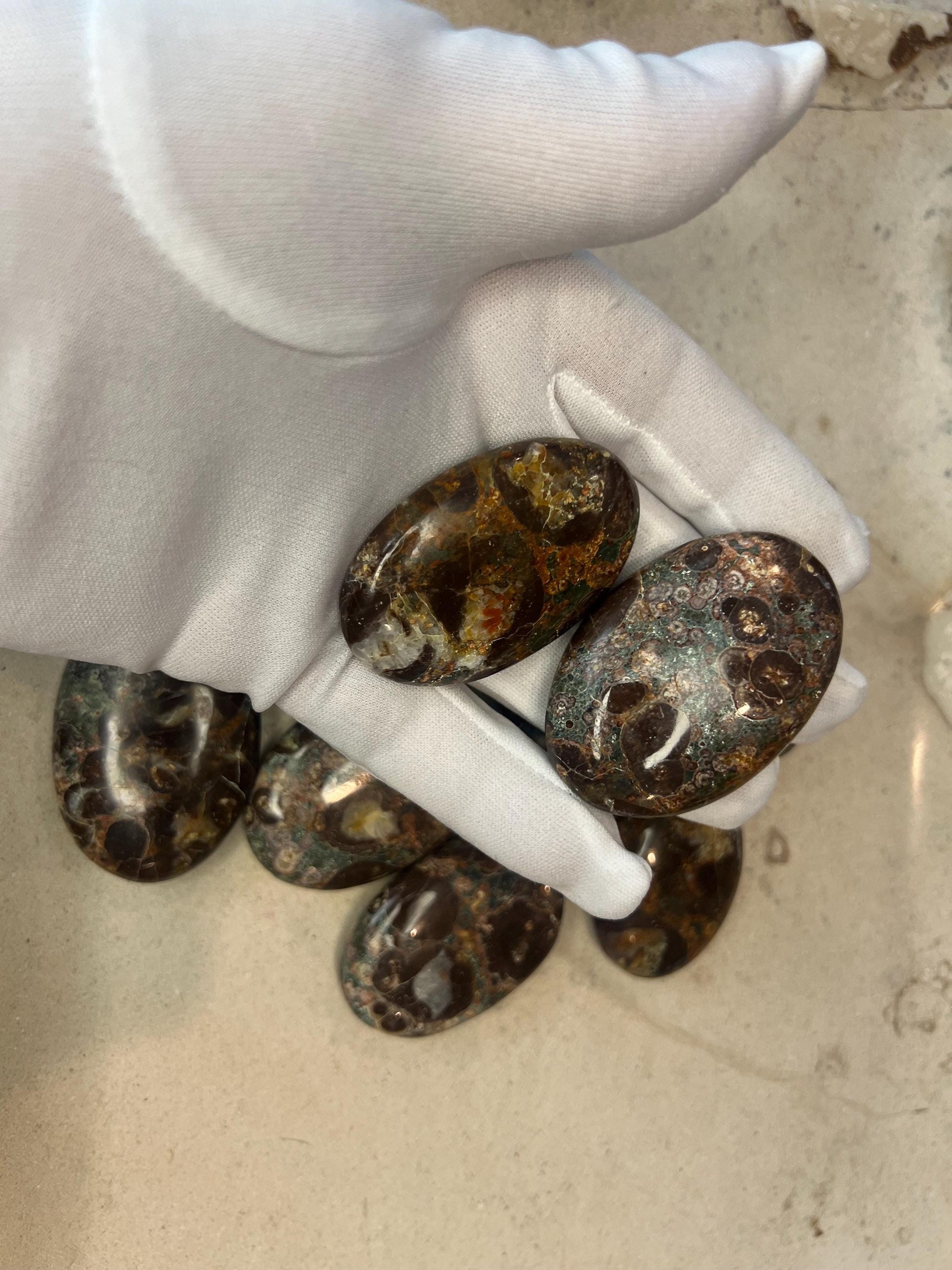 Wisconsin Turritella Fossil Palm Stones Natural Free Form Stone Smooth Polished Carved Crystal for Distraction Worry Anxiety Home Decor