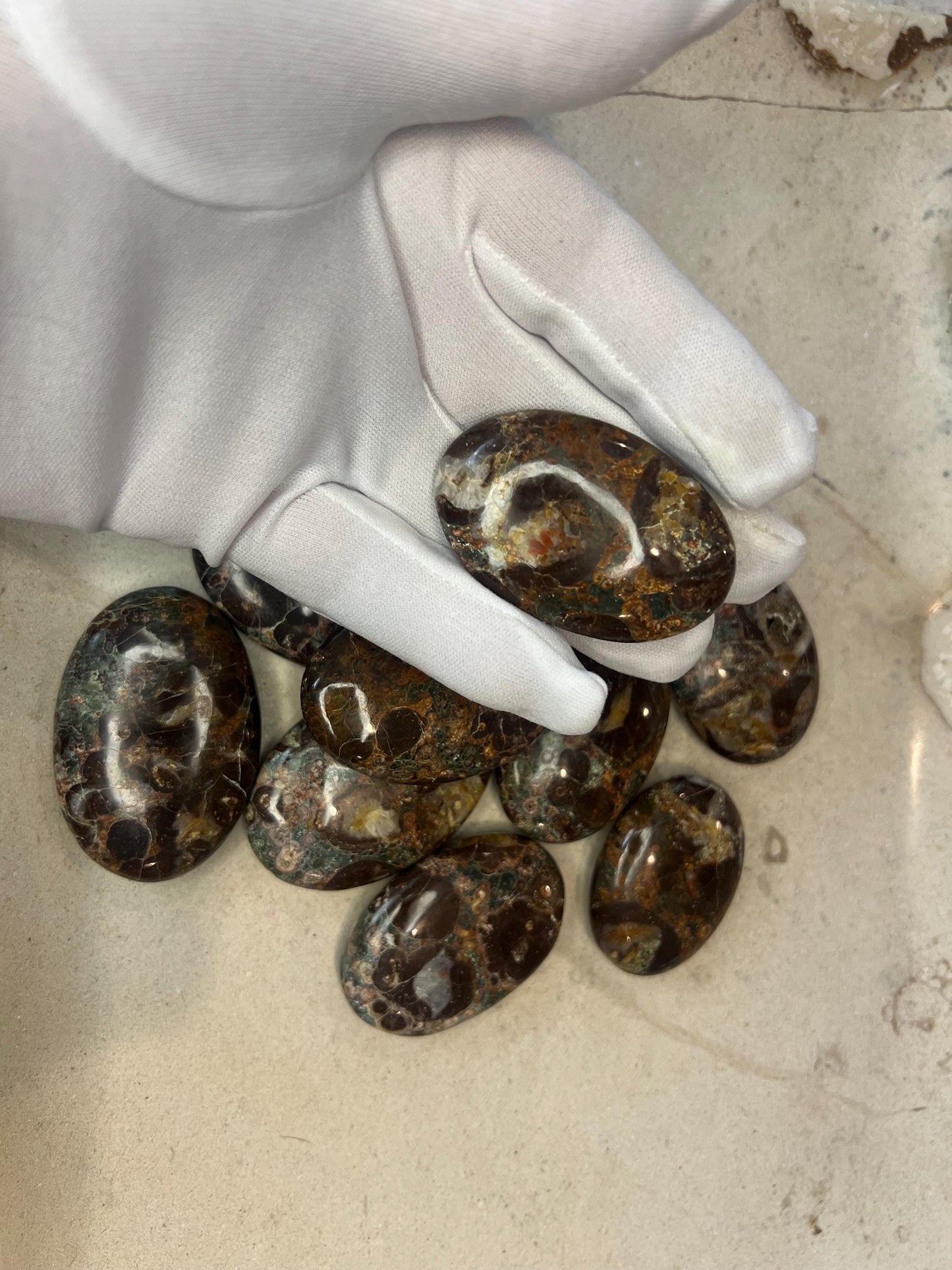 Wisconsin Turritella Fossil Palm Stones Natural Free Form Stone Smooth Polished Carved Crystal for Distraction Worry Anxiety Home Decor