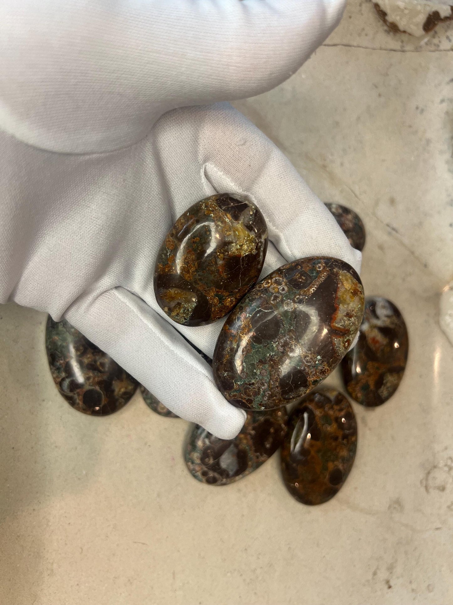 Wisconsin Turritella Fossil Palm Stones Natural Free Form Stone Smooth Polished Carved Crystal for Distraction Worry Anxiety Home Decor