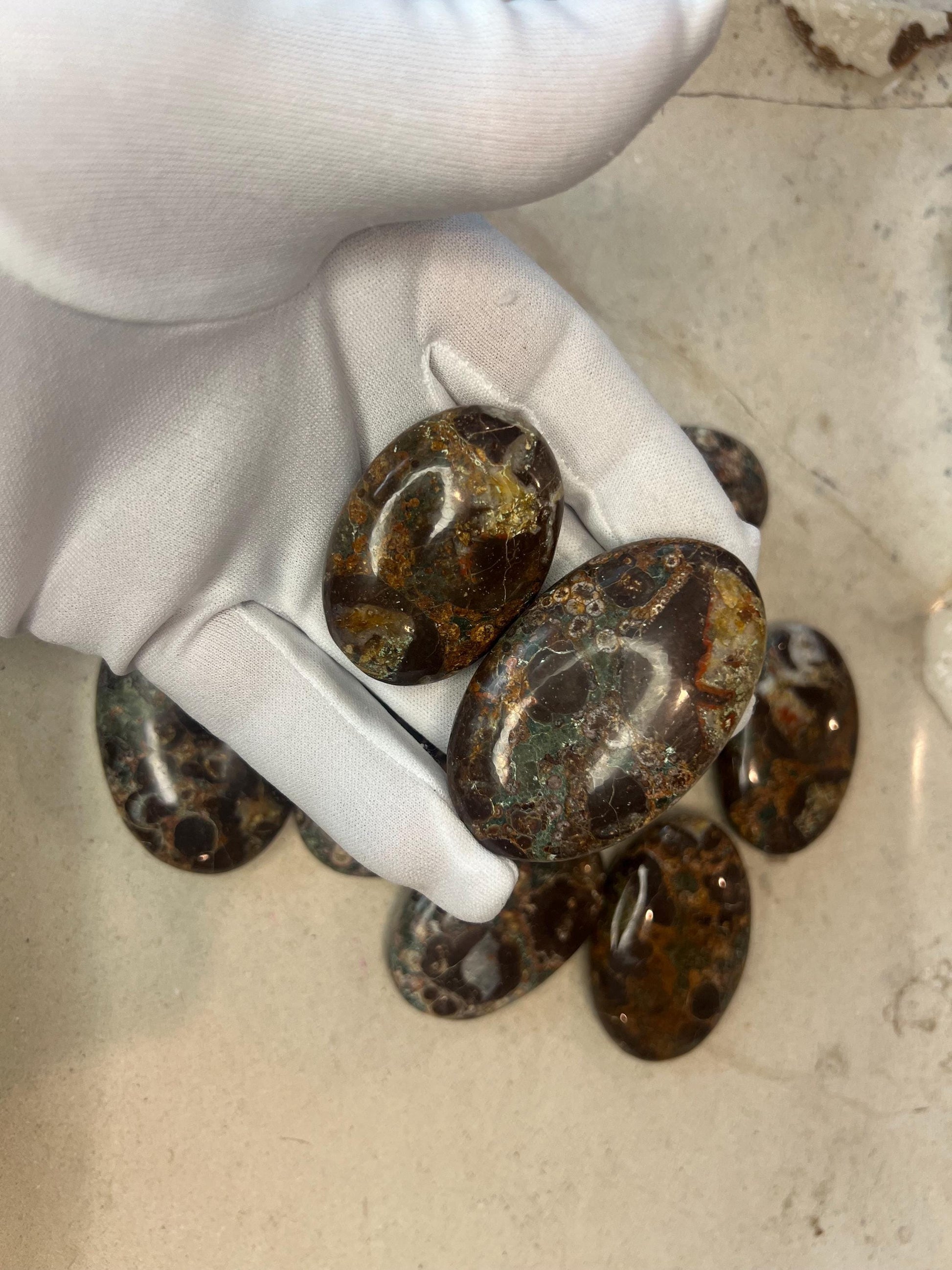 Wisconsin Turritella Fossil Palm Stones Natural Free Form Stone Smooth Polished Carved Crystal for Distraction Worry Anxiety Home Decor