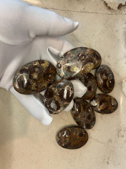 Wisconsin Turritella Fossil Palm Stones Natural Free Form Stone Smooth Polished Carved Crystal for Distraction Worry Anxiety Home Decor