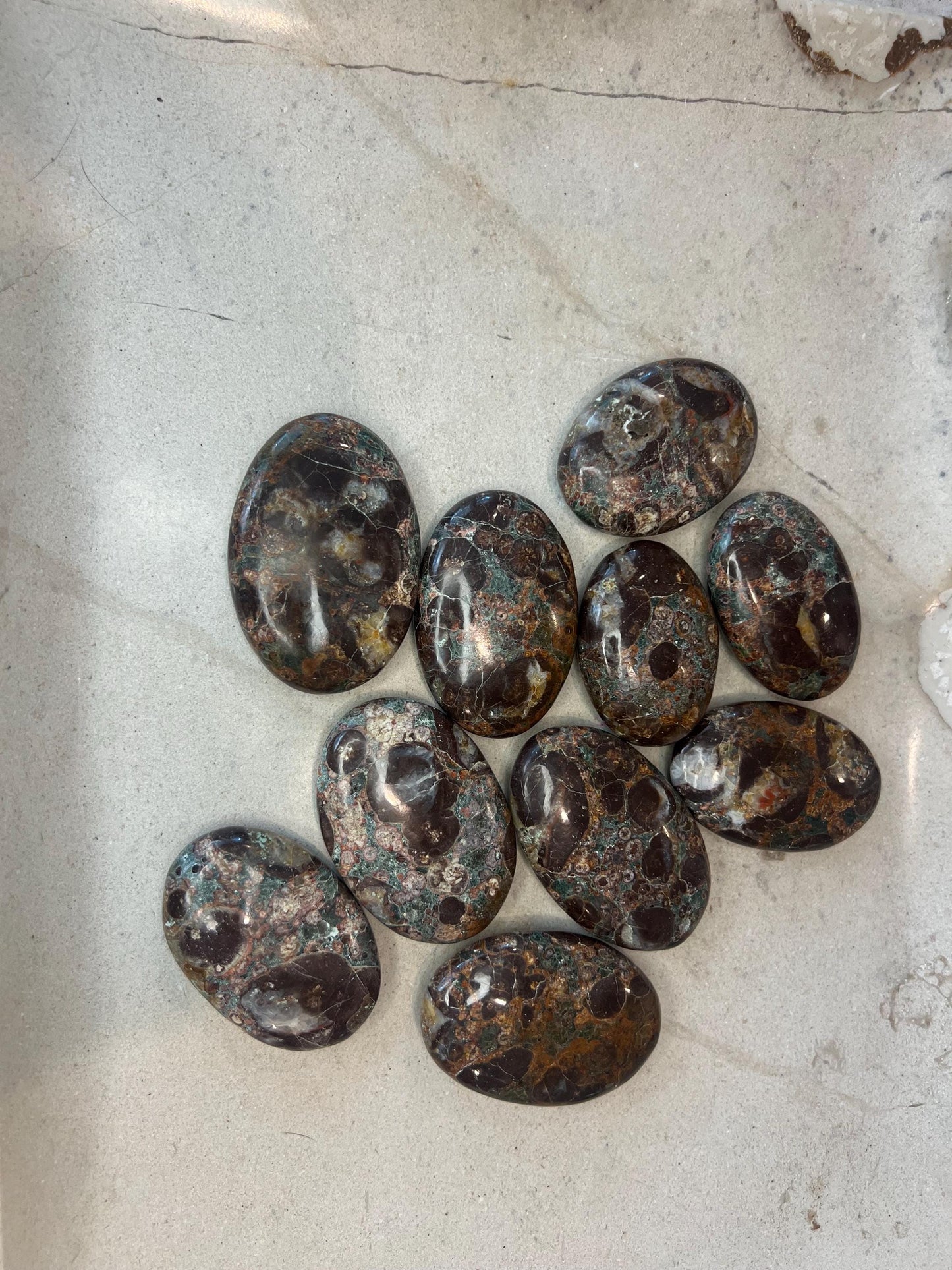 Wisconsin Turritella Fossil Palm Stones Natural Free Form Stone Smooth Polished Carved Crystal for Distraction Worry Anxiety Home Decor
