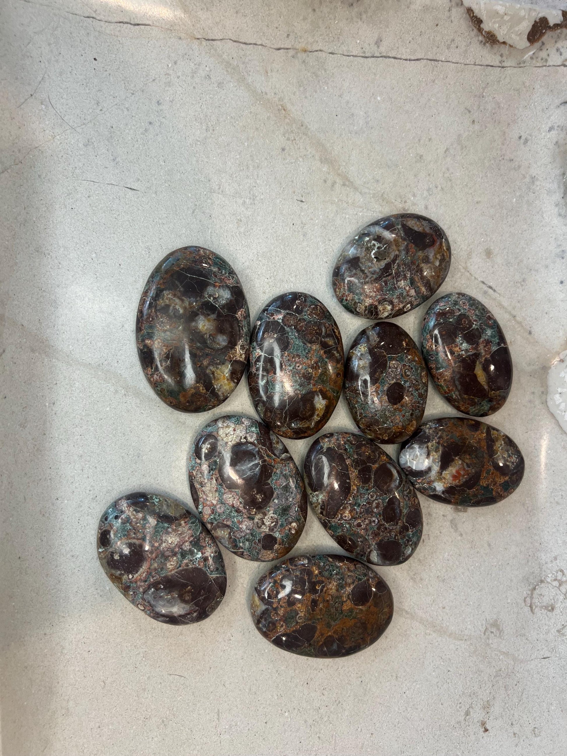 Wisconsin Turritella Fossil Palm Stones Natural Free Form Stone Smooth Polished Carved Crystal for Distraction Worry Anxiety Home Decor