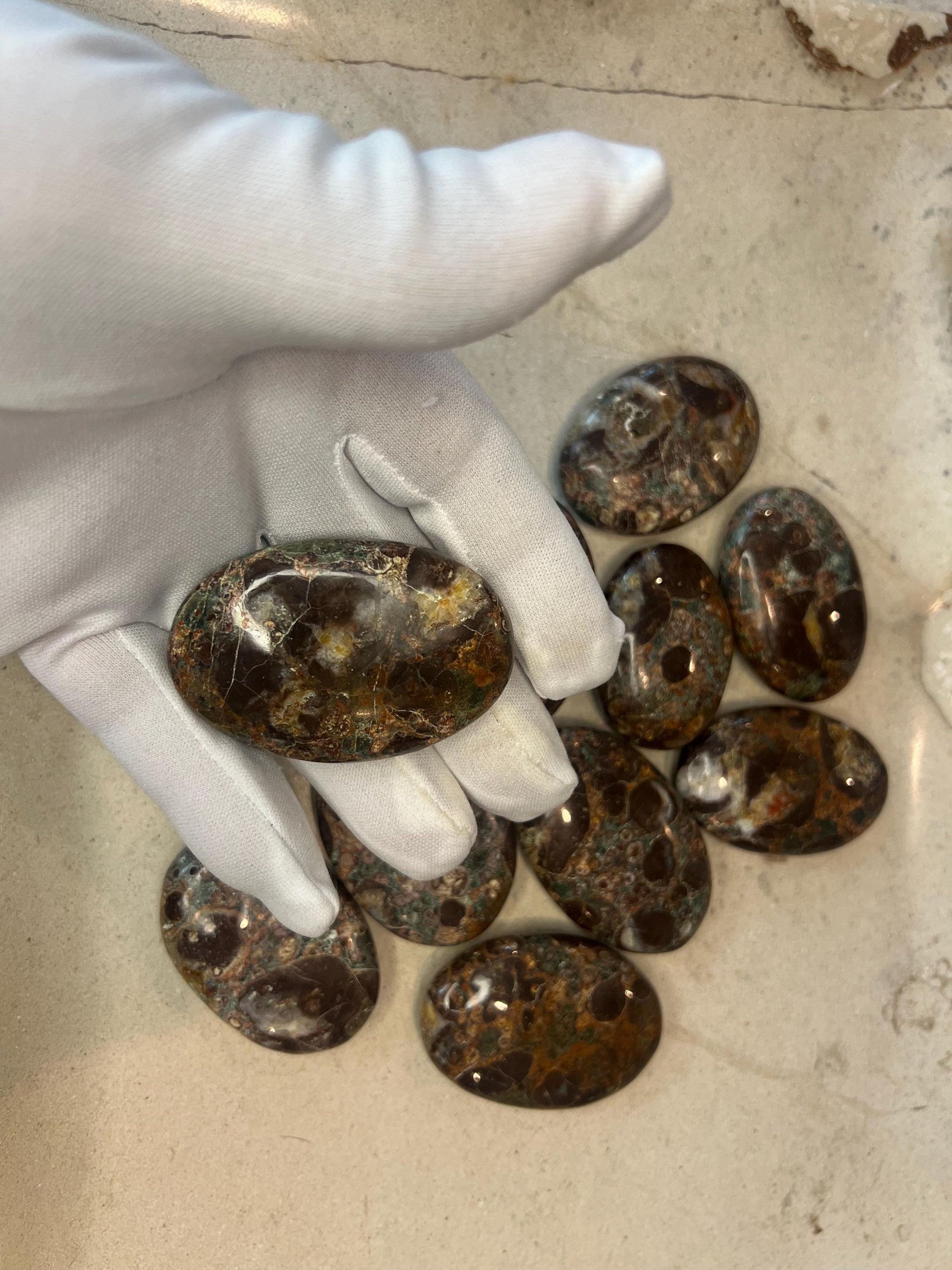 Wisconsin Turritella Fossil Palm Stones Natural Free Form Stone Smooth Polished Carved Crystal for Distraction Worry Anxiety Home Decor