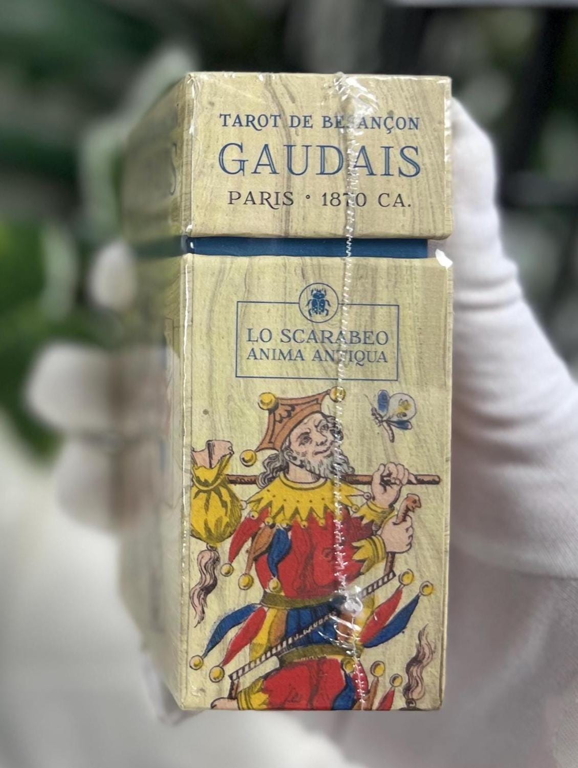 Tarot de Besançon Paris 1870 Gaudais Lo Scarabeo Antiqua 78 Cards Fully Licensed and Original Inclusive Tarot Deck Guidebook Meditation Gift