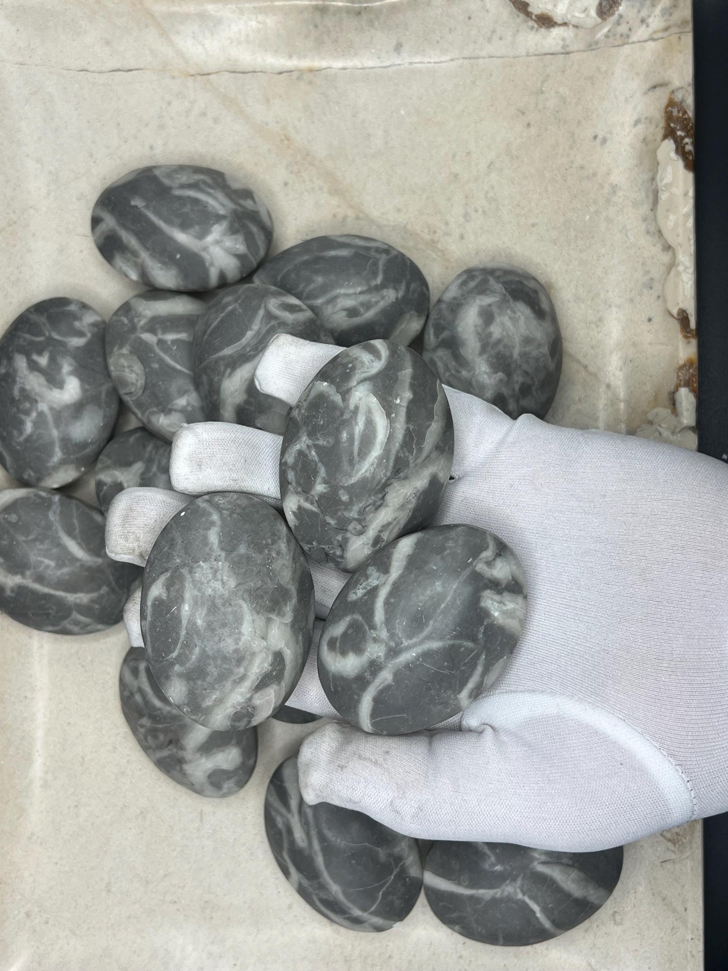 Texas Shell Stone Fossil Natural Palm Stone Smooth Polished Carved Crystal Distraction Home Decor Worry Stress Relief Anxiety Christmas Xmas