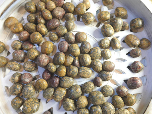 Leopard Jasper Tumble Smooth anxiety polished rock tumbled pocket crystal worry Christmas Xmas Gift Home Decor Crafts