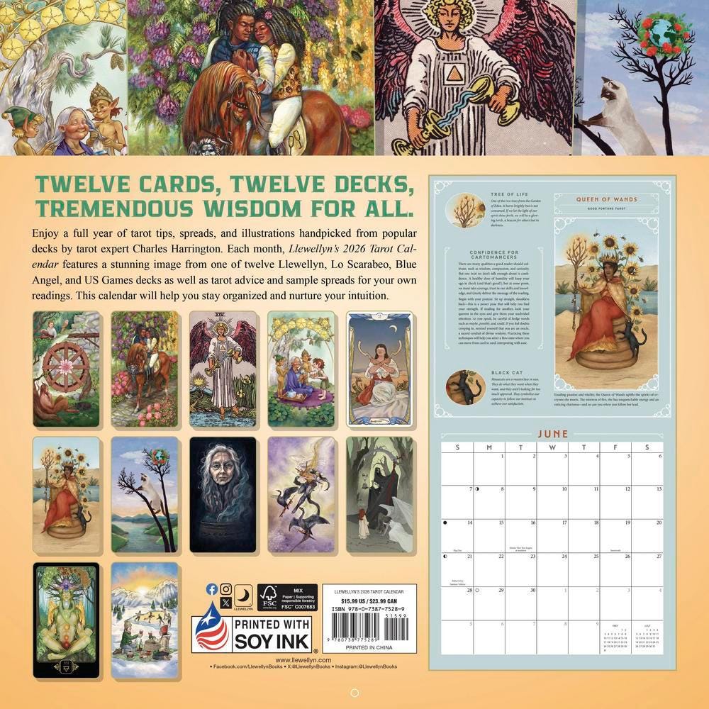 Llewellyn's 2026 Tarot Calendar Home Decor Wall Picture Craft Holiday Christmas Xmas Birthday Funny Llewelyn Journal Gift Meditation