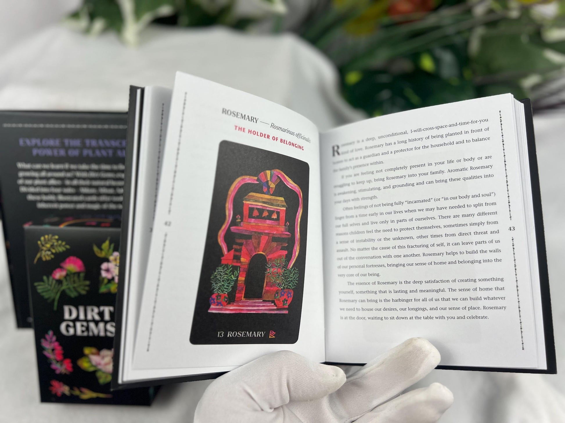 Dirt Gems Plant Oracle Deck and Guidebook Fully Licensed and Original Inclusive Original Tarot Guidebook Home Decor Christmas Gift Birthday-